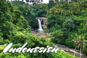 Ein Wasserfall im Dschungel von Indonesien.