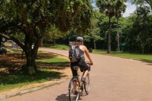 Farina fährt mit Rucksack auf dem Fahrrad einen rot gepflasterten Weg zwischen Bäumen in der Sonne entlang