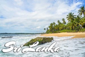 Strand und Palmen auf Sri Lanka.