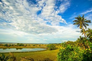 Verträumter Blick auf eine Lagune am Meer in Gras- und Buschlandschaft mit Palmen. Blauer Himmel und weiße Wolken.