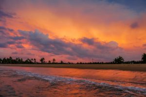 Spektakulärer Sonnenuntergang am Meer in orange und pink mit dunkler Silhouette von Palmen vom zur Landseite aufgenommen.