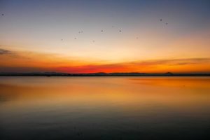 Die Sonne geht über dem See Bendiwewa in Polonnaruwa unter und taucht den Himmel in intensive Rot- und Ornagetöne. Fledermäuse fliegen durch die Luft.