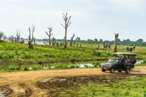 Ein vollbesetzter Jeep fährt über eine lehmigen Weg durch eine savannenartige Landschaft mit einem Wasserlauf und Baumstümpfen.