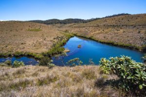 Eine trockene und hügelige Graslanschaft wird durchzogen von einem kleinen Fluss