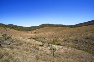 Blauer und wolkenloser Himmel hinter einer von Hügeln und Gras bedeckten Ebene
