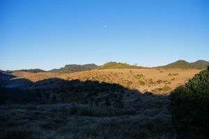 Eine hügelige Ebene mit Gras und Büschen steht halb im Schatten der Nacht und halb im Sonnenschein. Morgenstimmung im Horton Plains Nationalpark