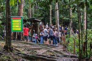 Eine Gruppe von Besucher steht wartend im Regenwald des Semenggho Wildlife Centre an einer Absperrung.