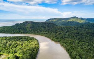 Ein brauner Fluss zieht sich durch grüne Bäume eines Regennwaldes vor dem Meer in unberührter Wildnis.