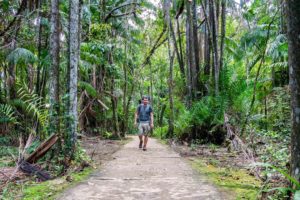 Steffen läuft mit Rucksack einen gepflasterten Weg durch den grünen Dschungel des Bako Nationalparks.