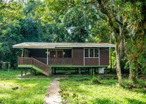 Die Forest Lodge Type 5 von vorne, umgeben von Regenwald im Bako Nationalpark.