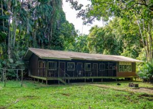 Das Forest Hostel steht umgeben von Regenwald im Bako Nationalpark.