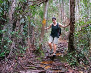 Farina läuft über Wurzeln, der den Wanderweg im Bako Nationalpark durchzieht.