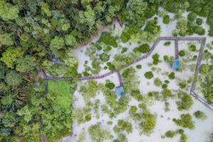 Die Mangroven von oben und der Weg in den Regenwald des Bako Nationalparks.