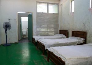 4 Betten stehen in dem Zimmer der Forest Type 5 Lodge.