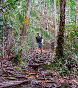 Steffen läuft auf einem mit Wurzeln durchzogenen Wanderweg durch den Bako Nationalpark.