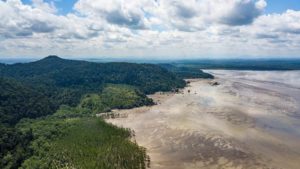 Der Bako Nationalpark mit seinen Mangroven aus der Vogelperspektive.