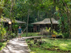 Steffen läuft auf einem Plankenweg an Lodges im Urwald vorbei.