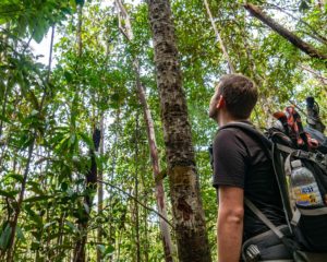 Steffen steht vor den Bäumen des Bako Nationalparks und lauscht den Geräuschen des Regenwaldes.