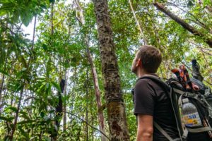 Steffen steht vor den Bäumen des Bako Nationalparks und lauscht den Geräuschen des Regenwaldes.