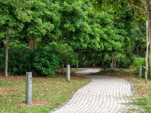 Ein gepflasterter Weg geht durch einen Park auf dem Canada Hill.