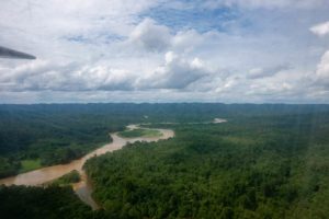 Endloser Regenwald im Herzen Borneos, der Mulu Nationalpark