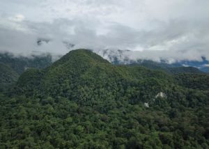 Grüner Regenwald, Berge, Wildnis und Wolken - der Mulu Nationalpark