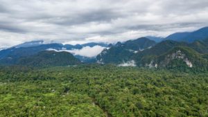 Endloser Regenwald, Wildnis und Gebirge im Mulu Nationalpark