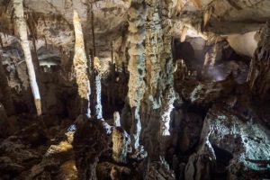 Höhle im Licht der Taschenlampe im Nationalpark in Mulu