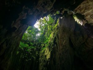 Auf der Höhlentour unter der Deckenöffnung der Clearwater Cave