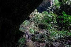 Tour in das höhlensystem der Deer Cave durch den grünen Regenwald vor dem Eingang der Höhle