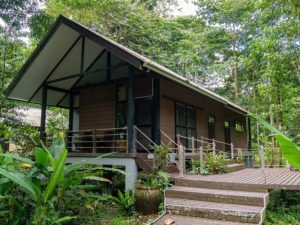 Übernachtung in Urwaldlodge am Headquarter Mulu Nationalpark