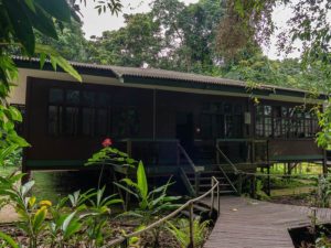 Übernachtung in Holzhütte im Regenwald am Headquater des Mulu Nationalparks