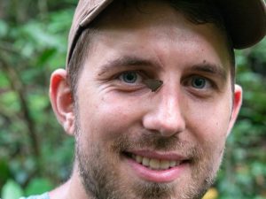 Brauner kleiner Schmetterling im Dschungel Borneos