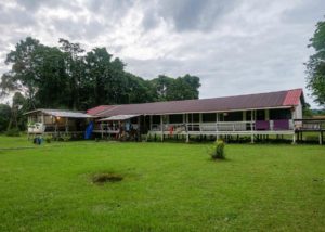 Traditionelles Longhouse Mulu Village auf einer Lichtung im Regenwald