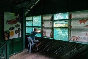 Ausblick aus dem hölzernen Beobachtungsturm, dem Observationsturm mit Infotafeln des Mulu Nationalparks