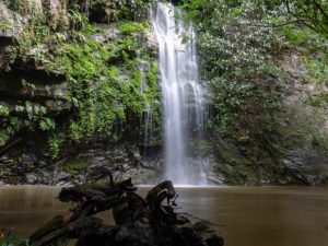 Wanderung zu einem Wasserfall im Urwald Borneos
