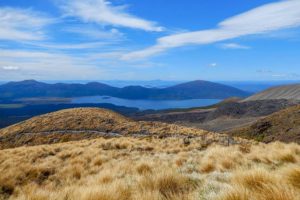 Der Blick ins Tal zeigt das Grasland und einen See im Hintergrund.