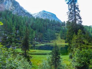 Der Schwarzensee umgeben von Bäumen und Felsen.