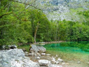 Ab Ufer des klaren Obersees stehen viele Bäume.