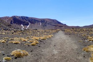 Ein flacher Wanderweg geht durch den South Crater.