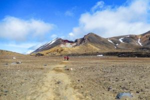 Eine Wandergruppe läuft durch den Central Crater des Tongariro Alpine Crossings.