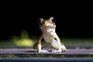Unsere schönsten Fotos aus Borneo