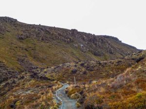 Ein Wanderweg schlängelt sich durchs Mangatopopotal.