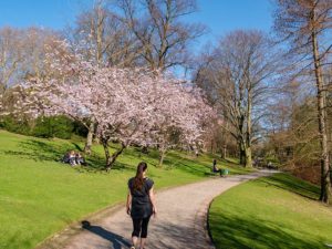 Farina läuft durch den frühlingshaften Stadtpark in Bochum.