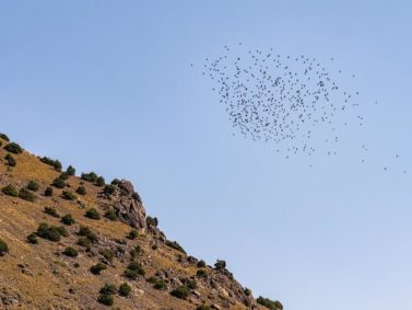 Der Nationalpark Toubkal eignet sich für Vogelbeobachtungen
