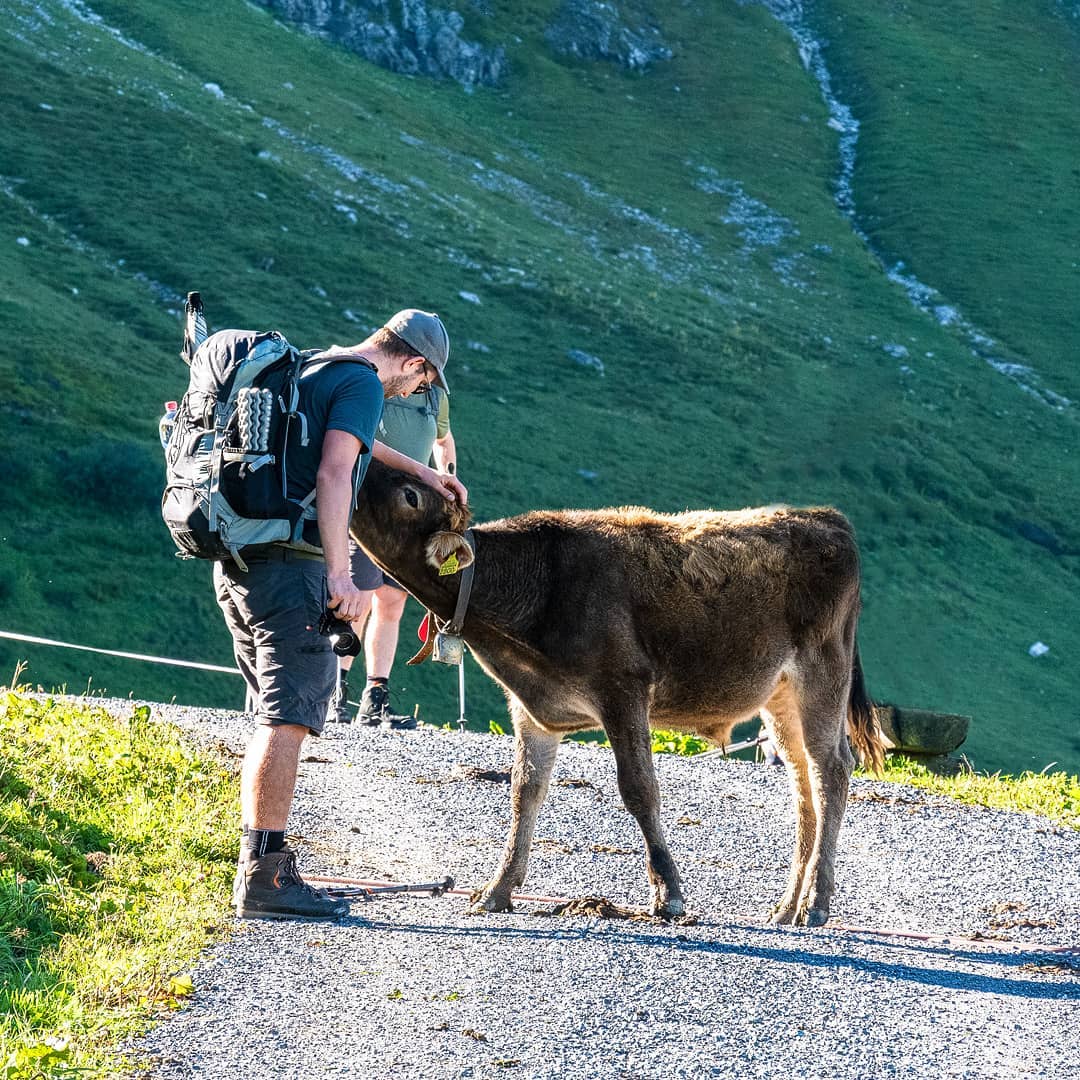 🇬🇧 Family excursion in the mountains - the right companionship is so important in life! And sometimes friends come by themselves and unexpectedly - like this cute calf who wanted to keep company. With so much curiosity and zest for life, your heart can only melt. You don't look for companions, you just meet them.
---------------------------------------------
🇩🇪 Familienausflug in den Bergen - die richtige Wegbegleitung ist so wichtig im Leben! Und manchmal kommen Freunde von ganz alleine und unerwartet - wie dieses süße Kalb, das uns allen Gesellschaft leisten wollte. Bei so viel Neugier und Lebensfreude kann einem nur das Herz aufgehen. Wegbegleiter sucht man sich nicht aus, sie begegnen dir einfach. 
🔹
🔹
🌐 www.oceansandmountains.de
🔹
🔹
#oceansandmountains #liechtenstein #schweizerberge #einmalumdiewelt #schweiztorismus #schweizeralpen #hochhinaus #fromabove #wandernschweiz #aufreisen #fernweh #reiseliebe #wanderlust #europareise #reisefieber #reiselust #umdiewelt #travelmoments #spätsommer #glücksmomente #europatrip #traveltheworld #seetheworldwithme #sommerfeeling #traveldiary #bergfieber #freudeamleben #travelcapture #sommerliebe #reisemomente